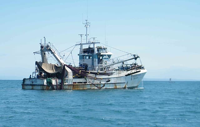 Amerger Gabon