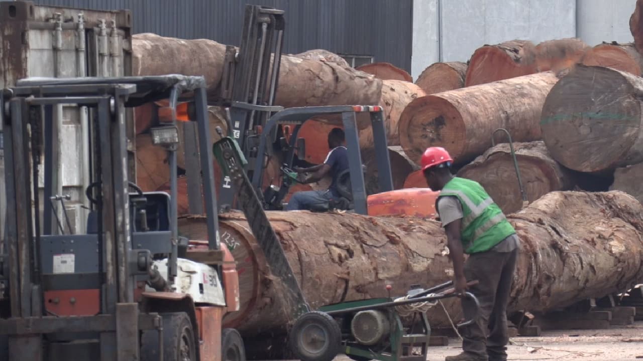 Greenply Gabon