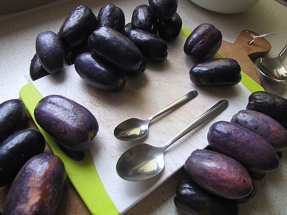 L'atanga, le fruit violet qui veut conquérir la cosmétique mondiale