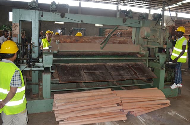 Xin Ya Wood